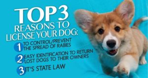 Get a Dog License Application